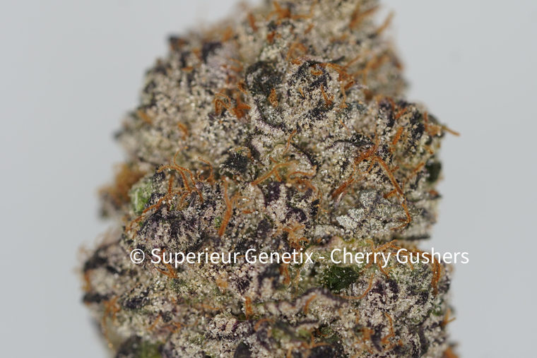 Cherry Gushers