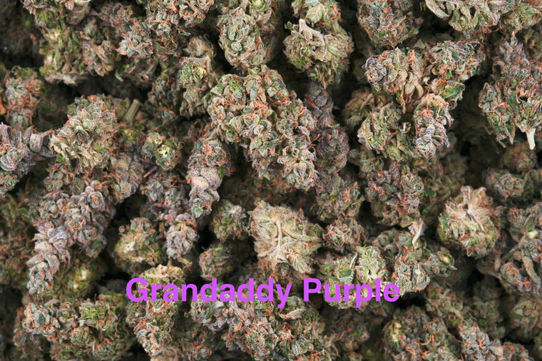 Grandaddy Purple