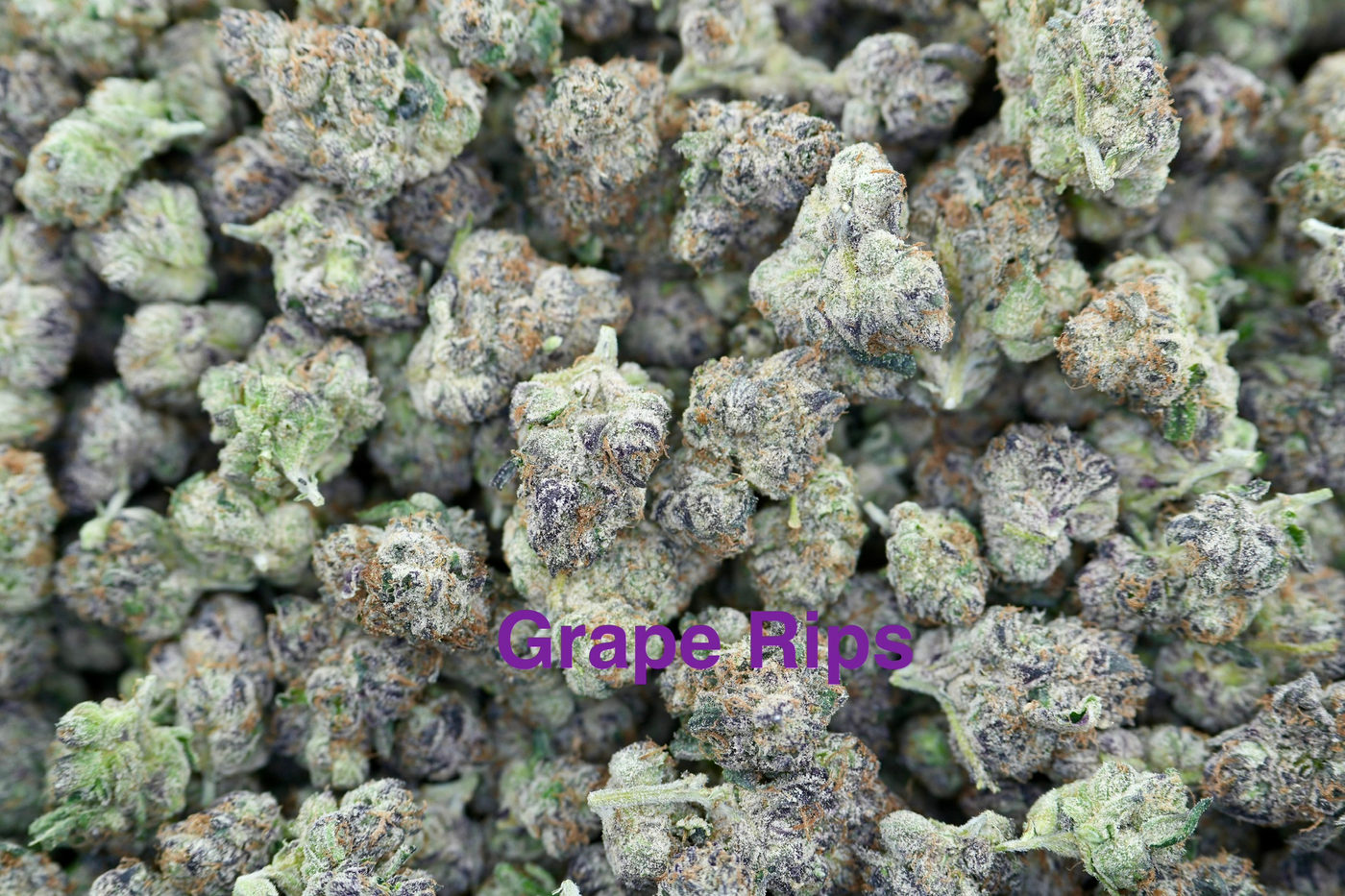 Grape Rips