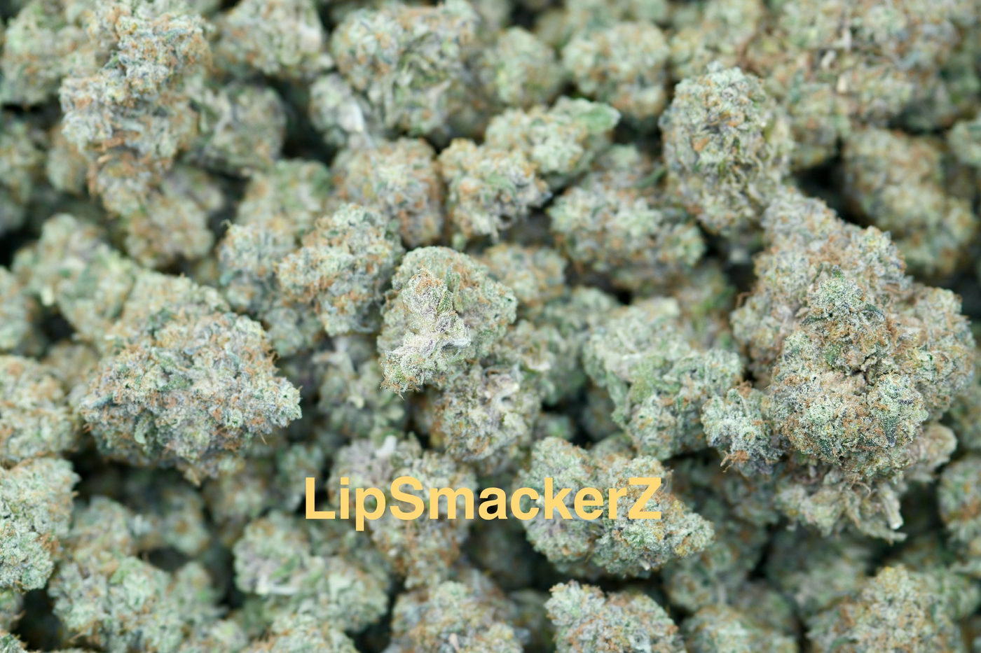 LipSmackerZ