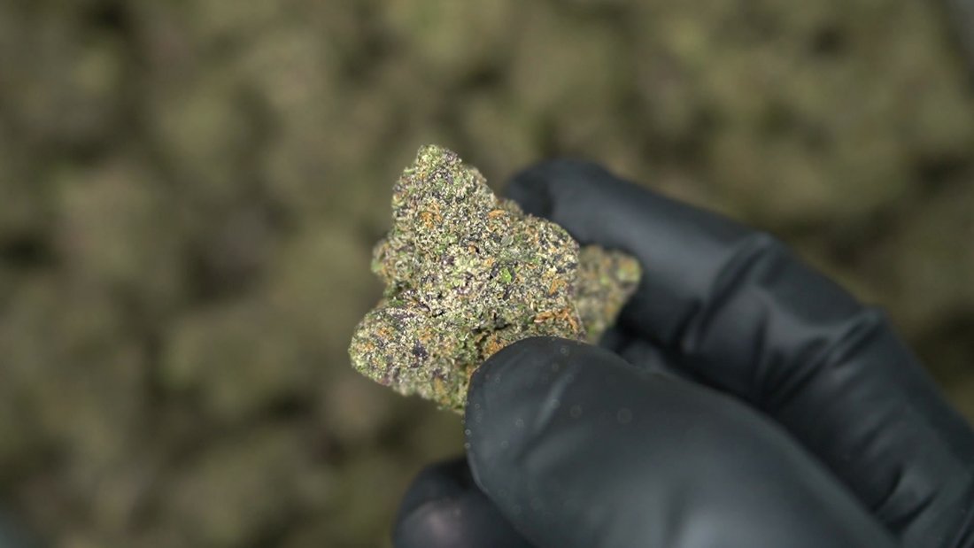 Frosty hybrid macro shot