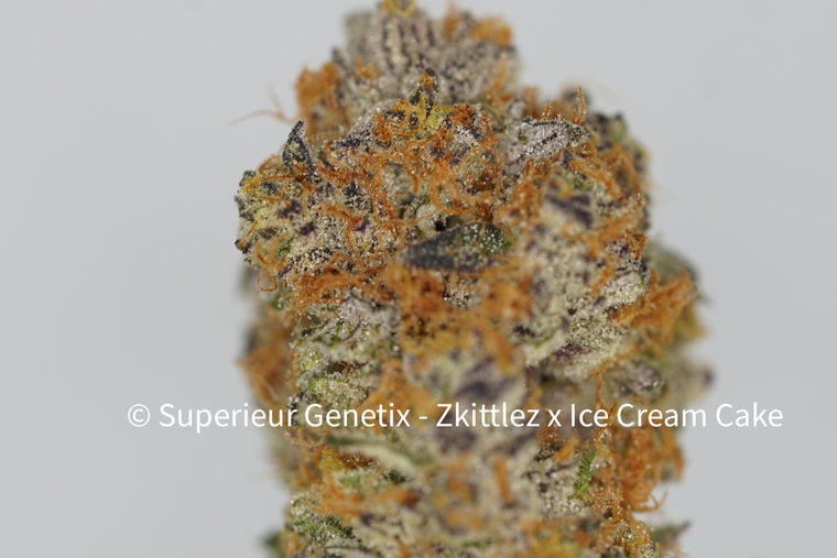 Zkittlez x Ice Cream Cake